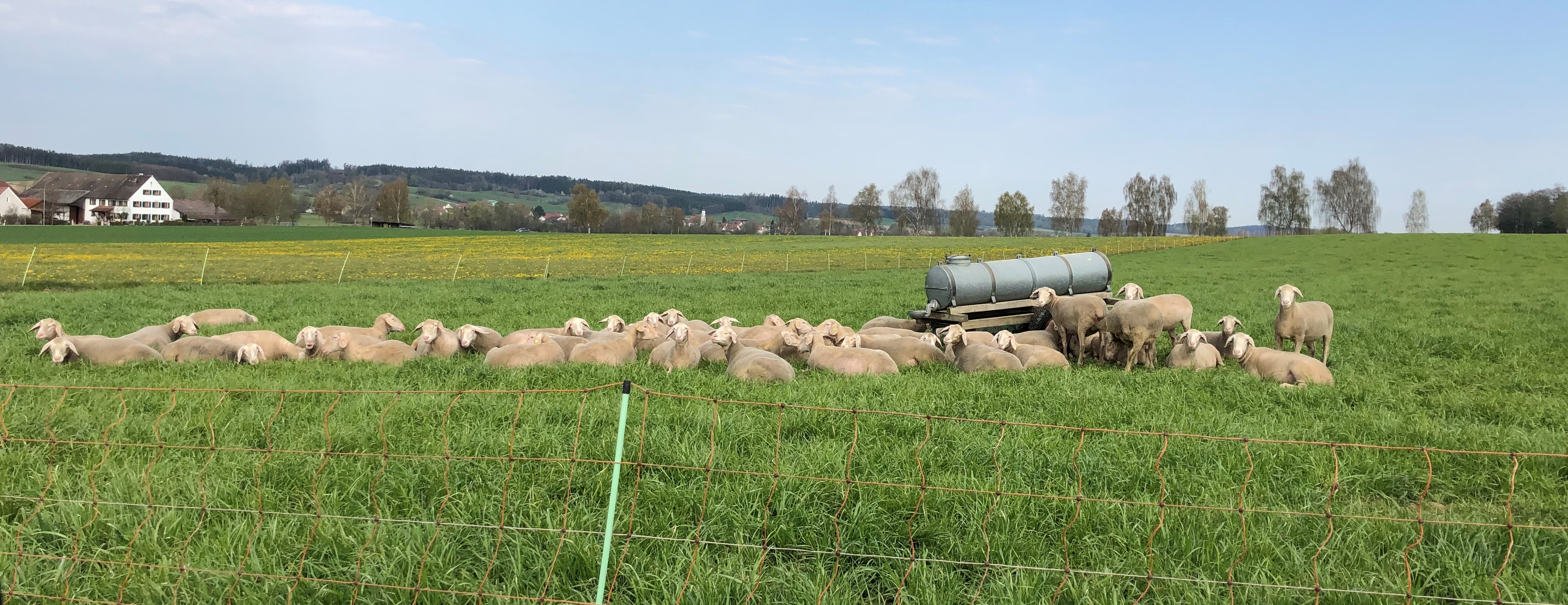 Landwirtschaft im Landkreis